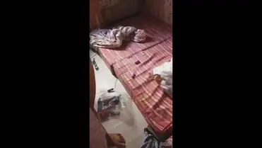 Kamar Pacar
